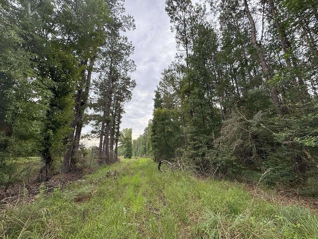 25.4 Acres of Recreational Land for Sale in Albany, Louisiana