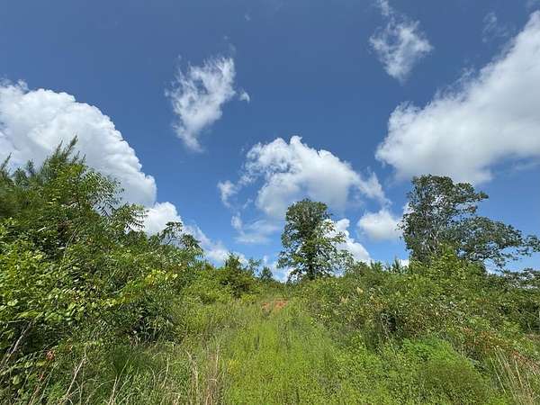 40 Acres of Recreational Land for Sale in Columbia, Mississippi