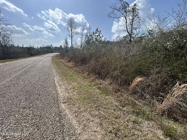9.47 Acres of Land for Sale in Carson, Mississippi
