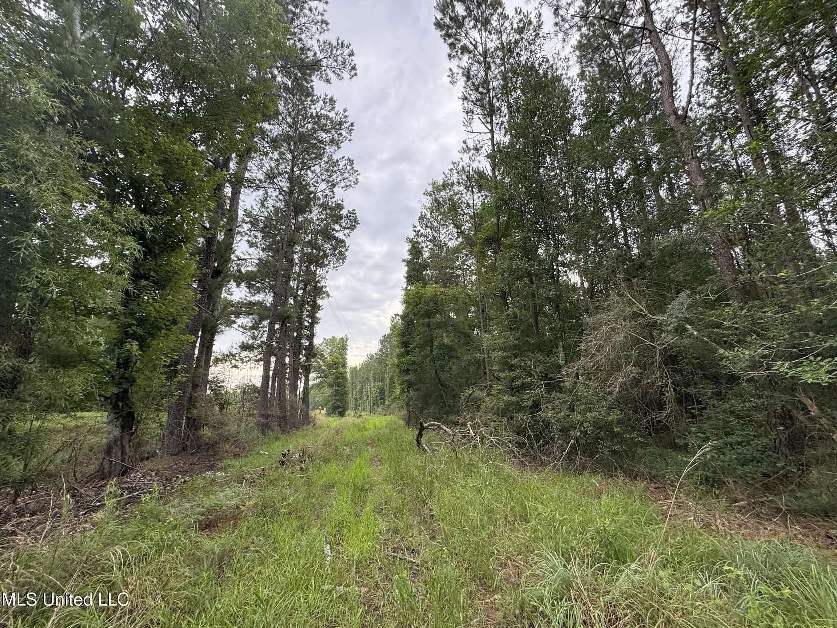 6.48 Acres of Residential Land for Sale in Albany, Louisiana