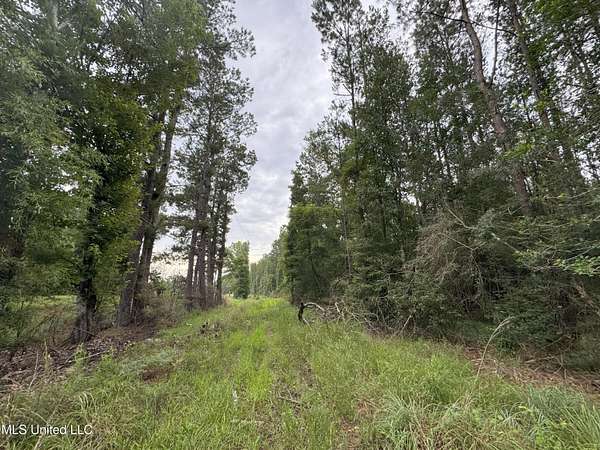 6.48 Acres of Residential Land for Sale in Albany, Louisiana