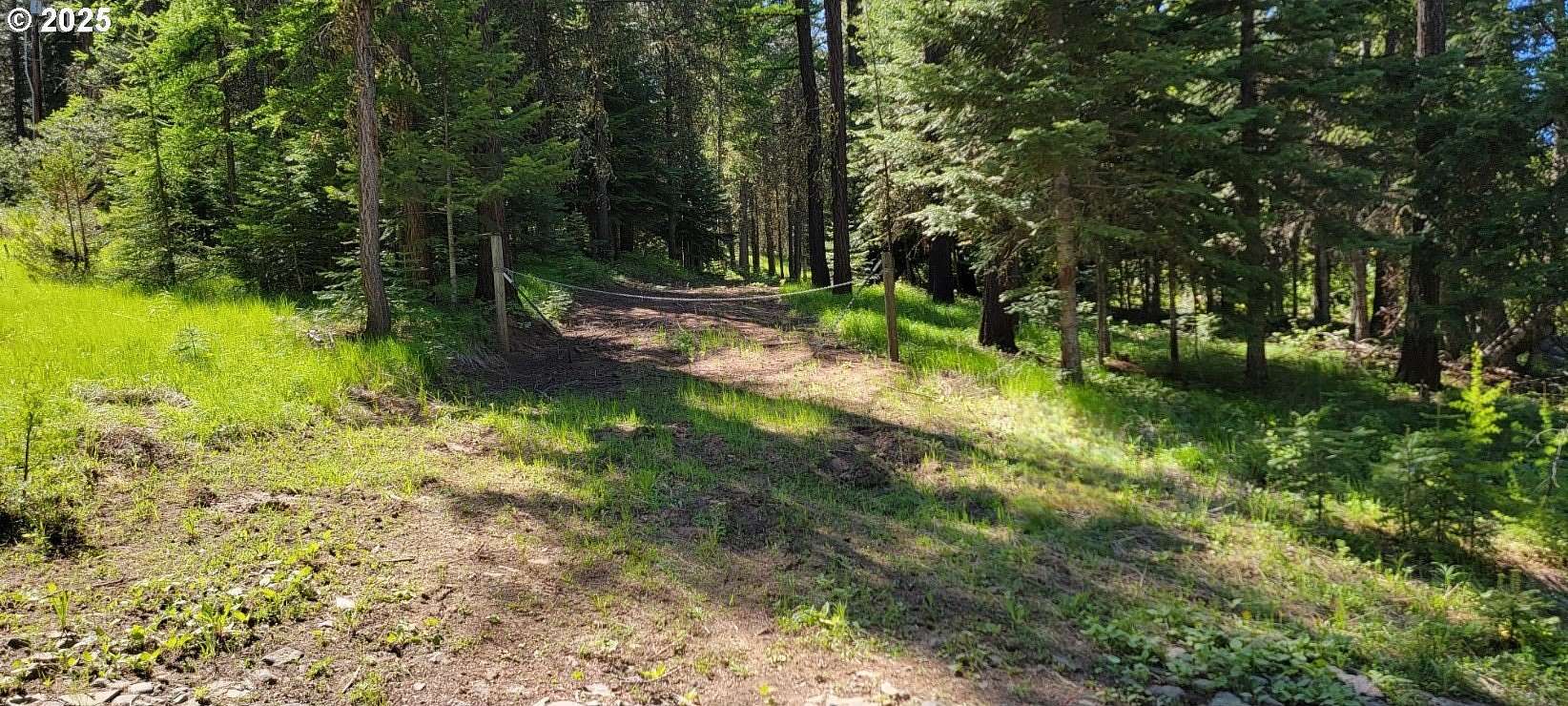 5 Acres of Residential Land for Sale in Joseph, Oregon