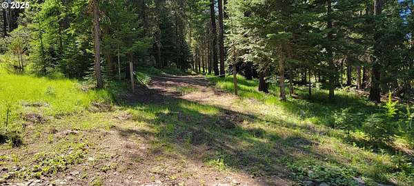 5 Acres of Residential Land for Sale in Joseph, Oregon
