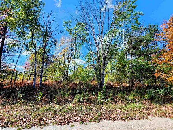 0.54 Acres of Land for Sale in Mancelona, Michigan