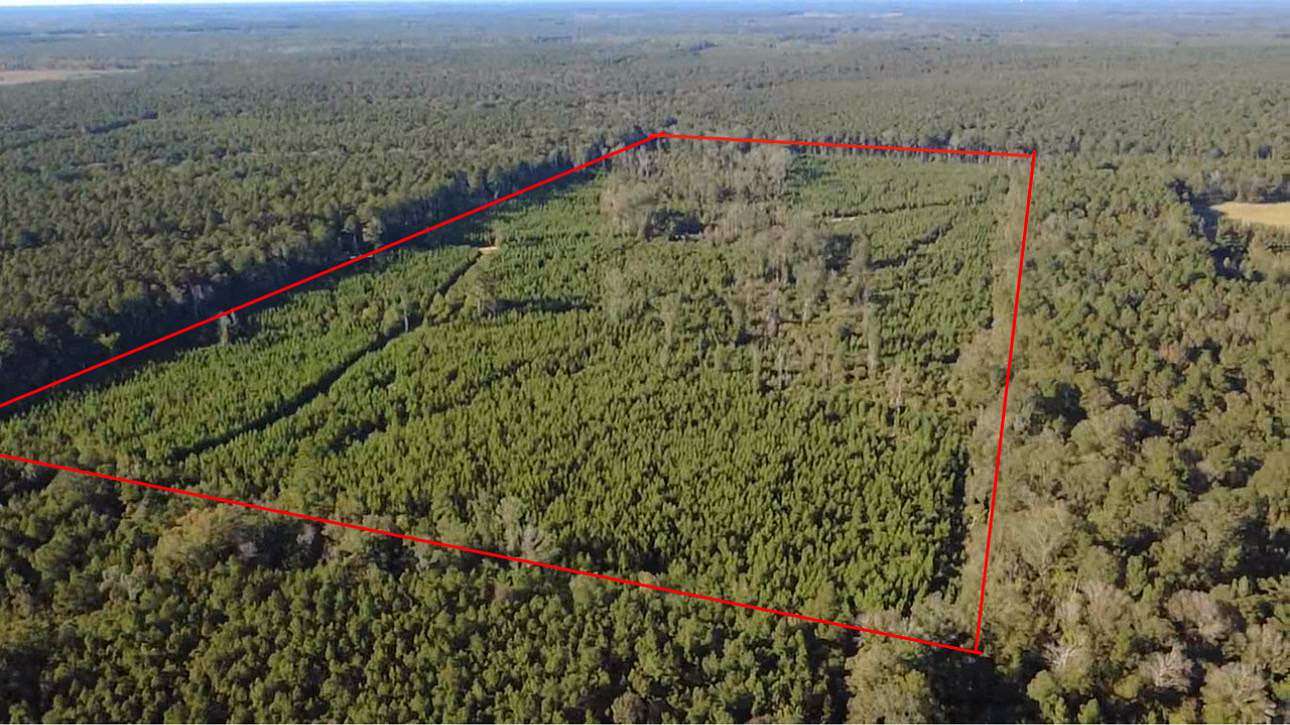 80 Acres of Recreational Land for Sale in Winnfield, Louisiana
