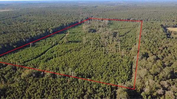 80 Acres of Recreational Land for Sale in Winnfield, Louisiana