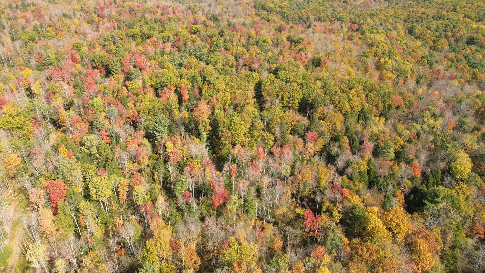 53.8 Acres of Recreational Land for Sale in Gloversville, New York