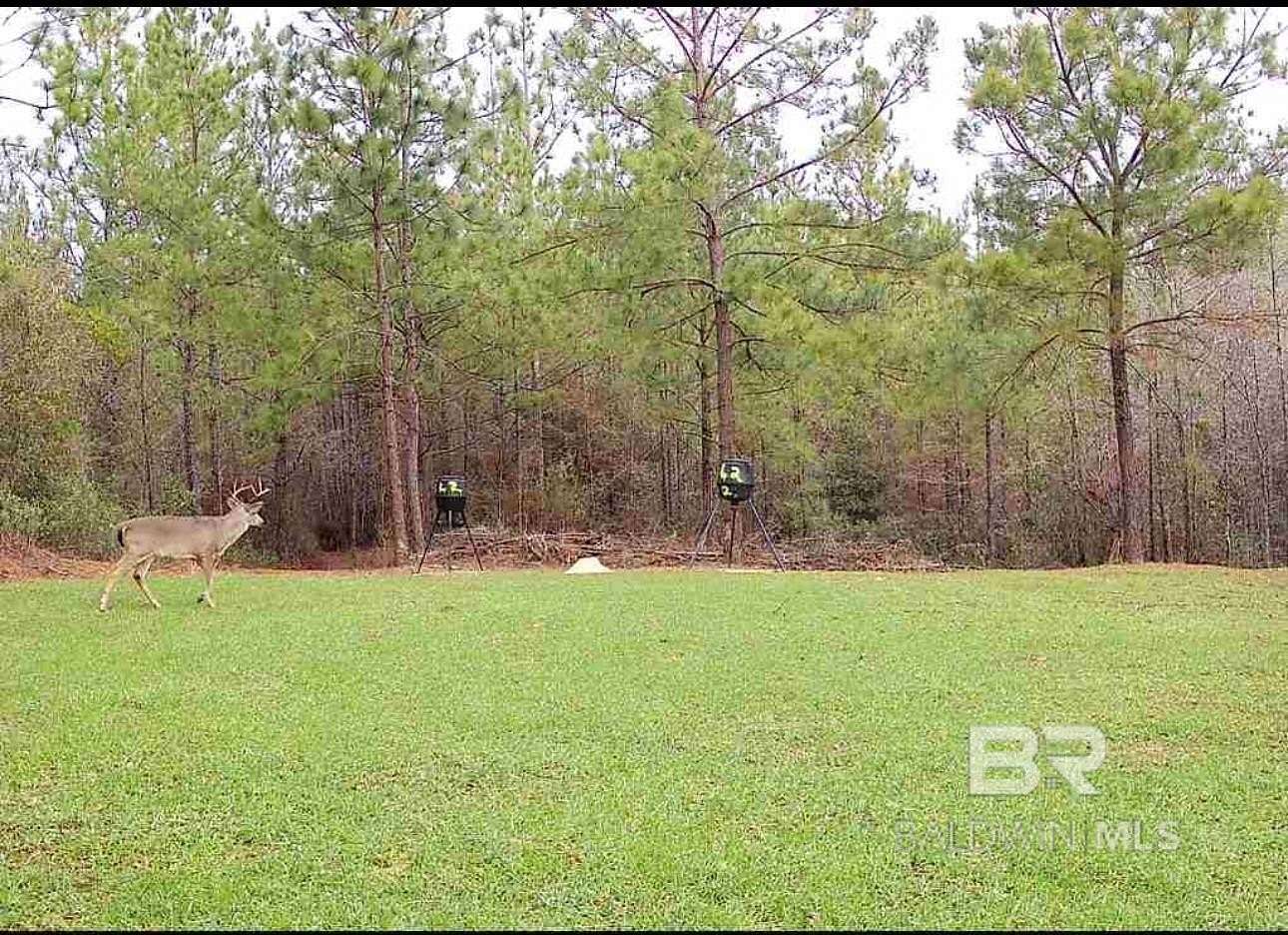 5 Acres of Residential Land for Sale in Perdido, Alabama