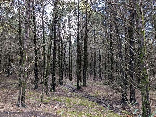 66 Acres of Land for Sale in Prairie Grove, Arkansas