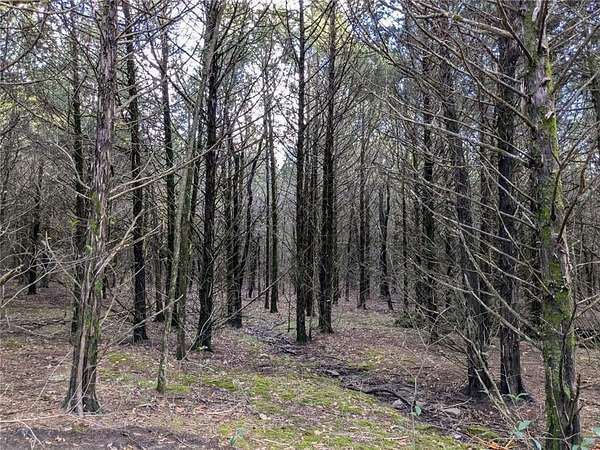 44 Acres of Land for Sale in Prairie Grove, Arkansas