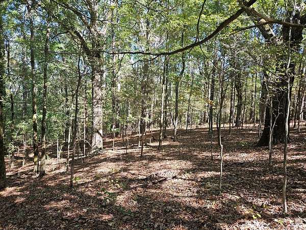 14 Acres of Land for Sale in Batesville, Mississippi