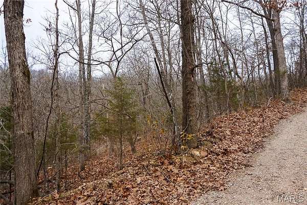 19.9 Acres of Agricultural Land for Sale in Dixon, Missouri