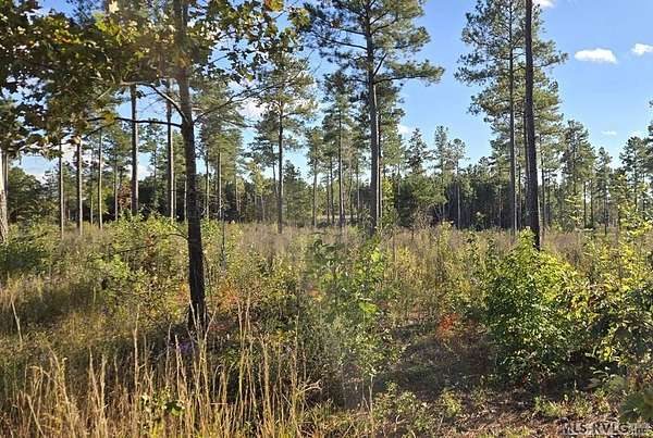 1 Acre of Residential Land for Sale in Lawrenceville, Virginia