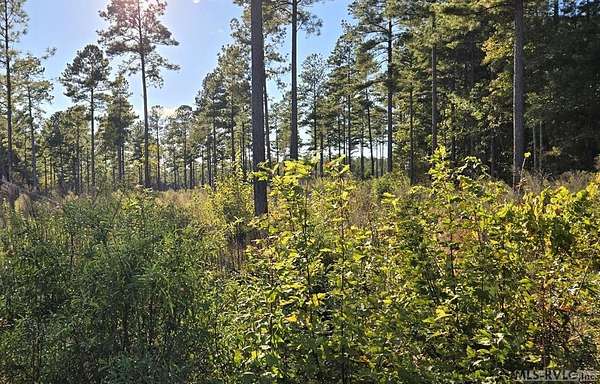 1 Acre of Residential Land for Sale in Lawrenceville, Virginia