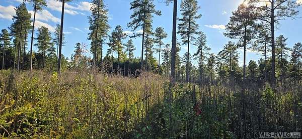 1.13 Acres of Residential Land for Sale in Lawrenceville, Virginia