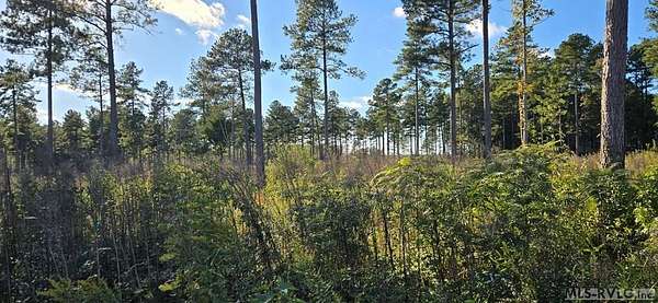 1.1 Acres of Residential Land for Sale in Lawrenceville, Virginia