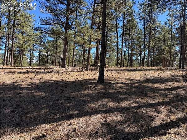 2 Acres of Residential Land for Sale in Florissant, Colorado