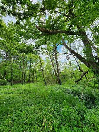 3.3 Acres of Land for Sale in Rineyville, Kentucky