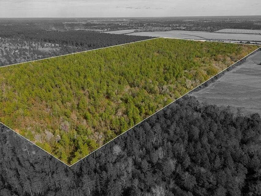 79.3 Acres of Land for Sale in Baker, Florida
