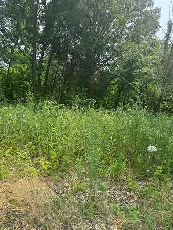 4.5 Acres of Land for Sale in Dexter, Missouri