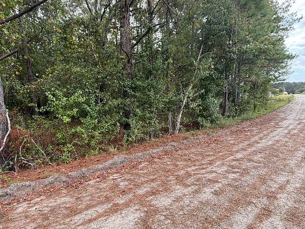 3 Acres of Residential Land for Sale in Summerton, South Carolina