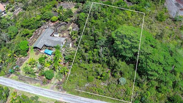 1 Acre of Residential Land for Sale in Keaau, Hawaii