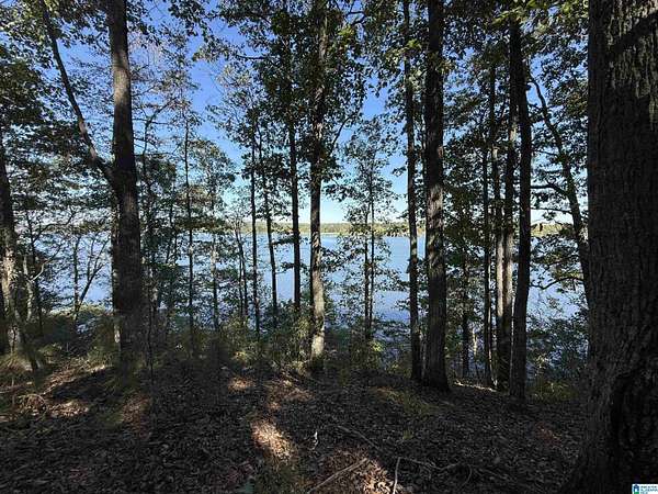2 Acres of Residential Land for Sale in Sylacauga, Alabama