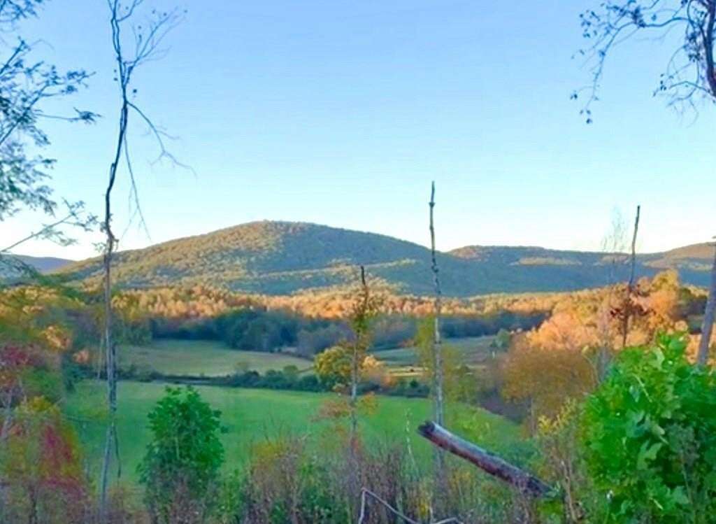 70 Acres of Agricultural Land for Sale in Stuart, Virginia