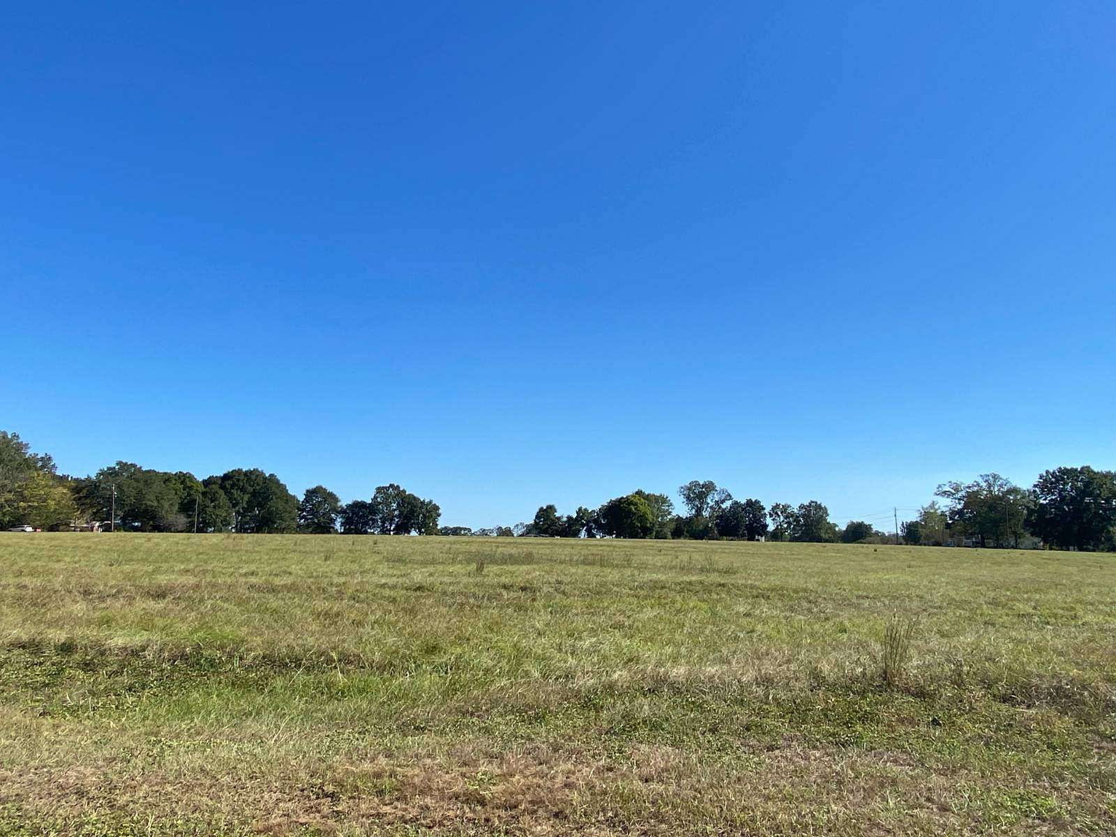 8.45 Acres of Residential Land for Sale in Monroeville, Alabama