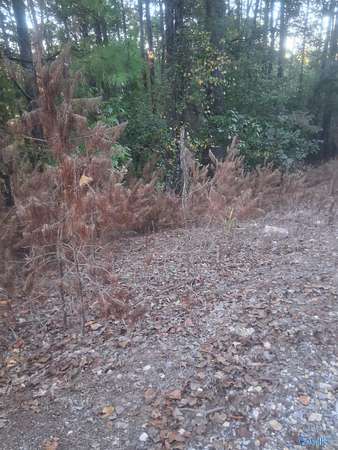 0.93 Acres of Residential Land for Sale in Hokes Bluff, Alabama