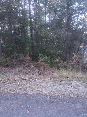 0.93 Acres of Residential Land for Sale in Hokes Bluff, Alabama