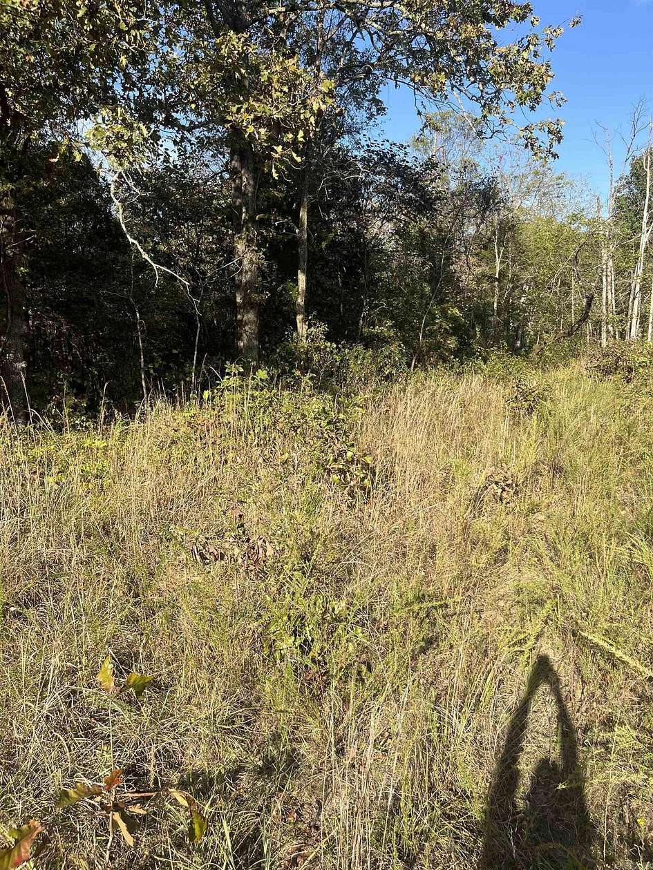 2.43 Acres of Residential Land for Sale in Salem, Arkansas