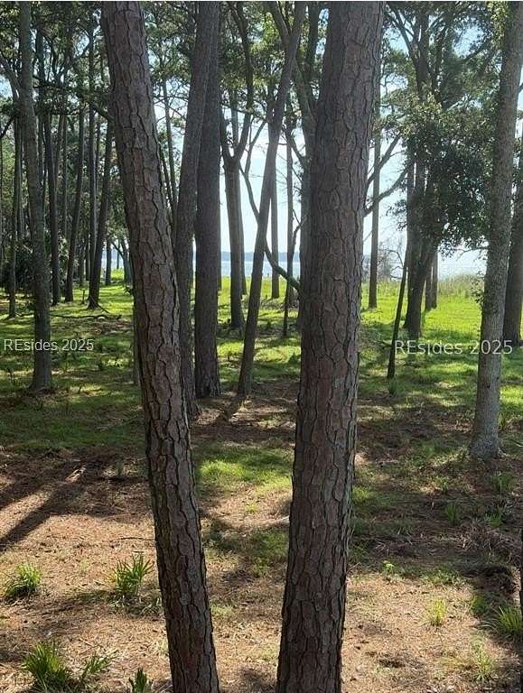 Residential Land for Sale in Daufuskie Island, South Carolina