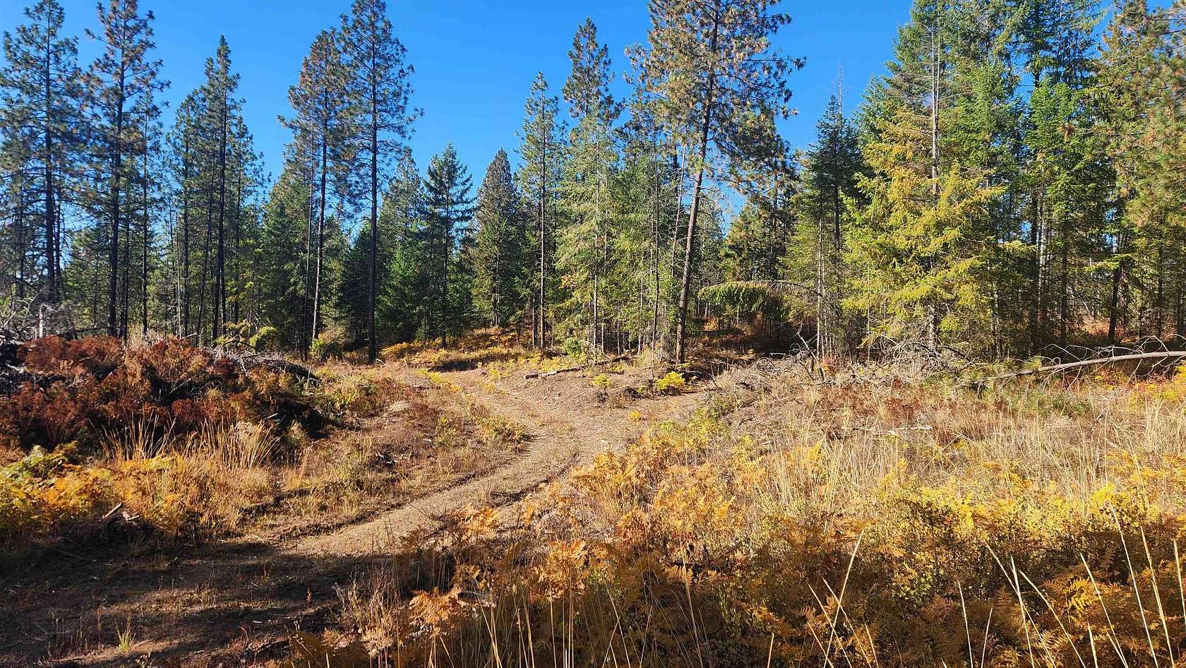30 Acres of Recreational Land for Sale in Springdale, Washington
