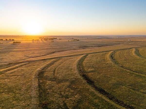 315 Acres of Recreational Land & Farm for Sale in Laverne, Oklahoma