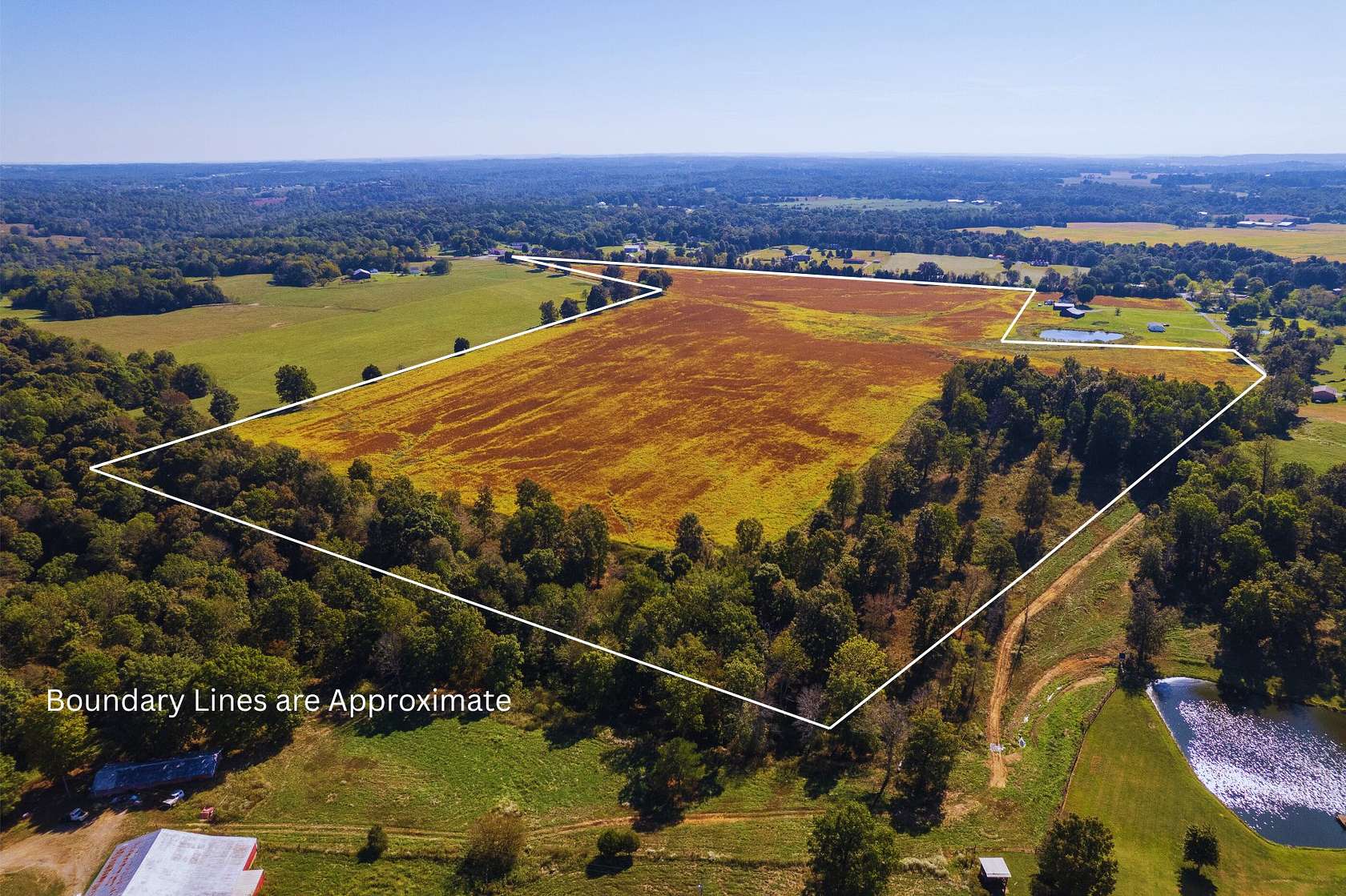 76 Acres of Land for Sale in Leitchfield, Kentucky