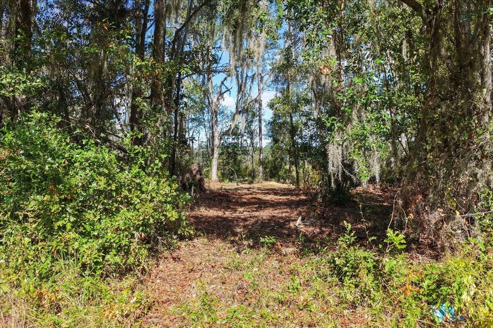 9.55 Acres of Recreational Land for Sale in Madison, Florida