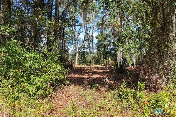 9.55 Acres of Recreational Land for Sale in Madison, Florida