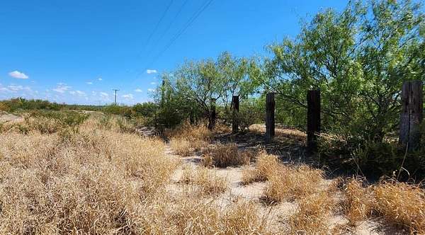 110 Acres of Recreational Land & Farm for Sale in Carrizo Springs, Texas