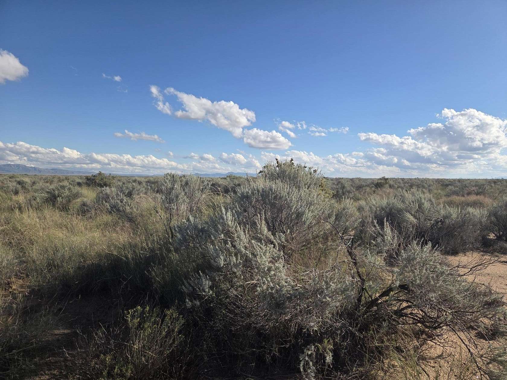 0.75 Acres of Land for Sale in Los Lunas, New Mexico