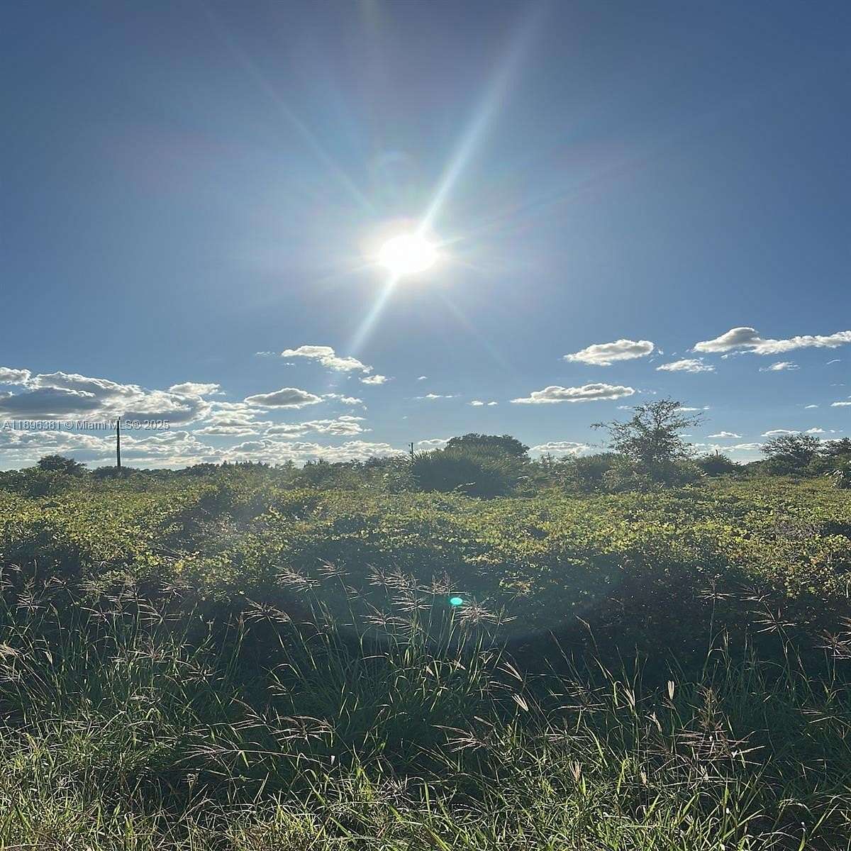 0.5 Acres of Residential Land for Sale in Lehigh Acres, Florida