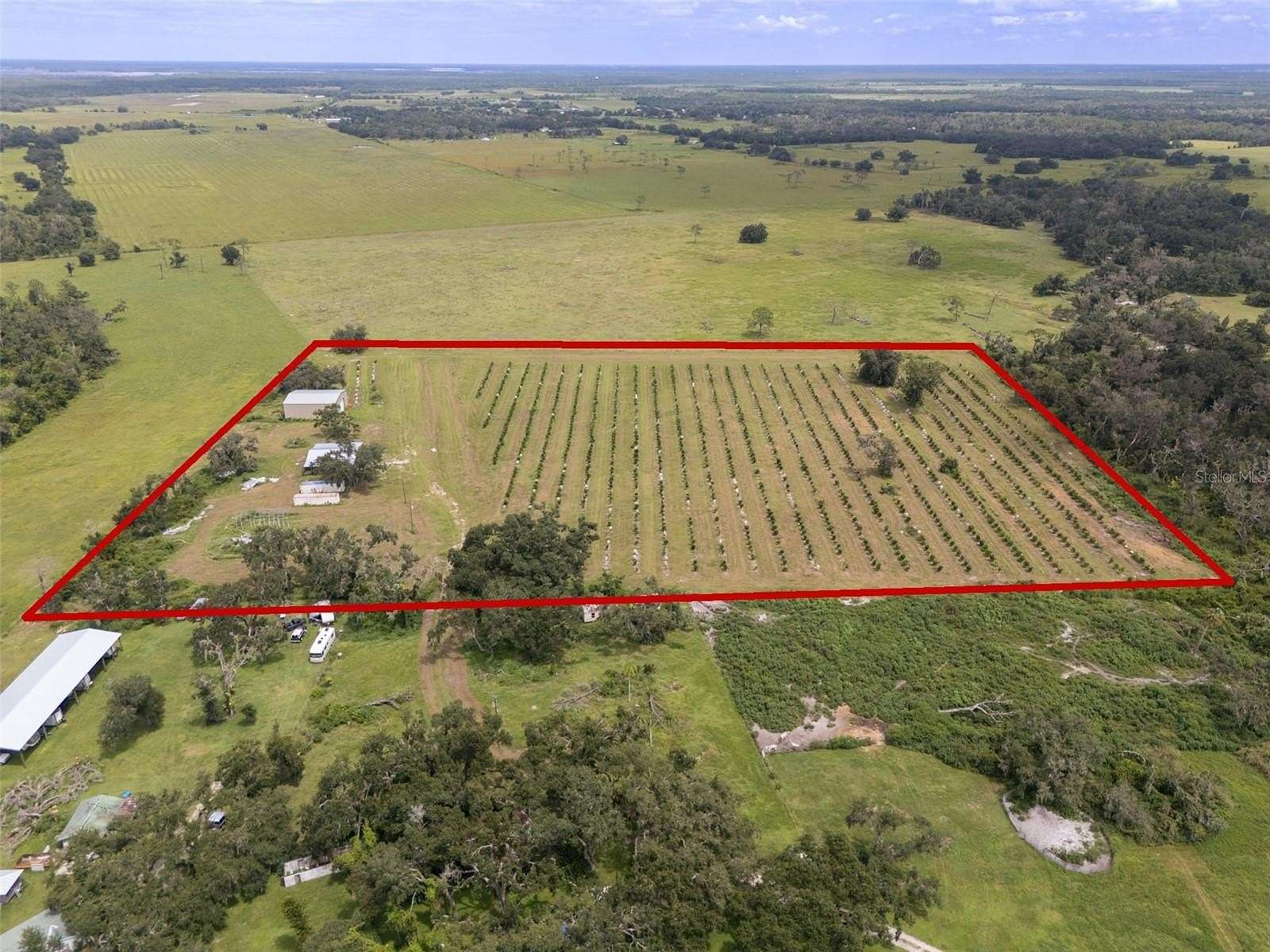 15 Acres of Agricultural Land for Sale in Myakka City, Florida