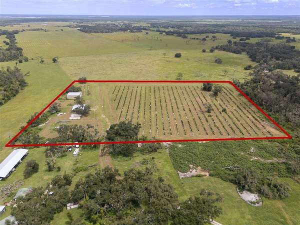 15 Acres of Agricultural Land for Sale in Myakka City, Florida