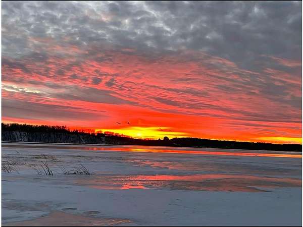 6.7 Acres of Residential Land with Home for Sale in Leaf Lake Township, Minnesota