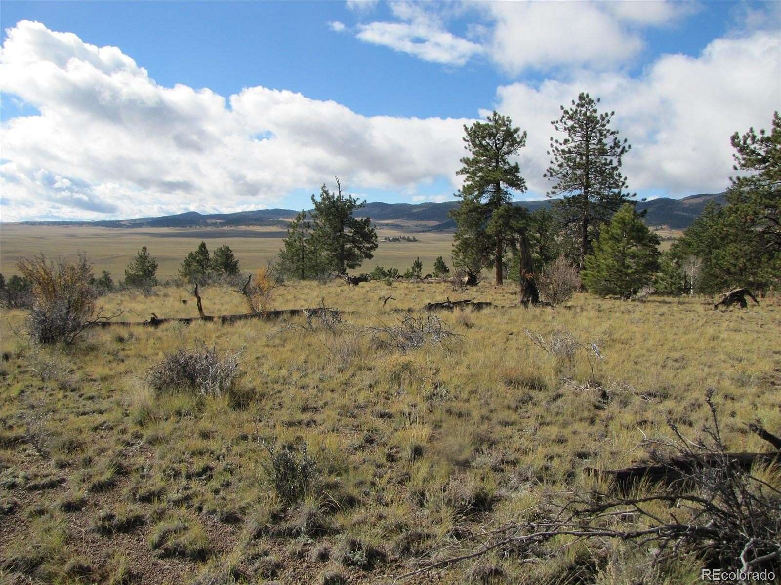 4 Acres of Land for Sale in Hartsel, Colorado