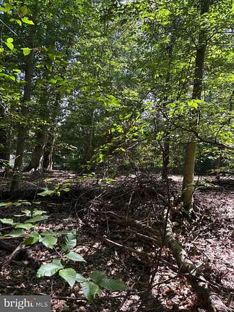 6.19 Acres of Residential Land for Sale in Fort Washington, Maryland