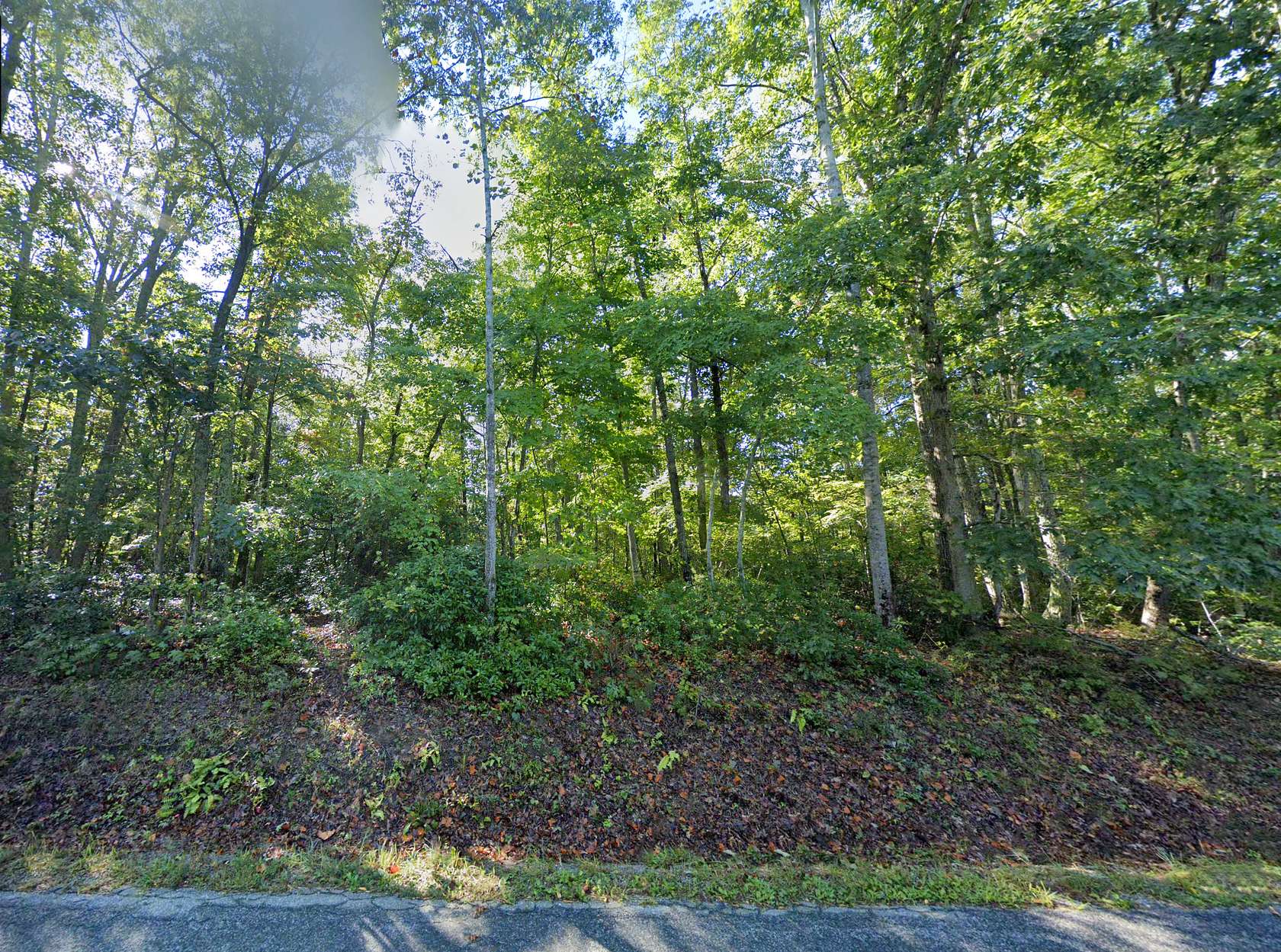 3.15 Acres of Residential Land for Sale in Shipman, Virginia