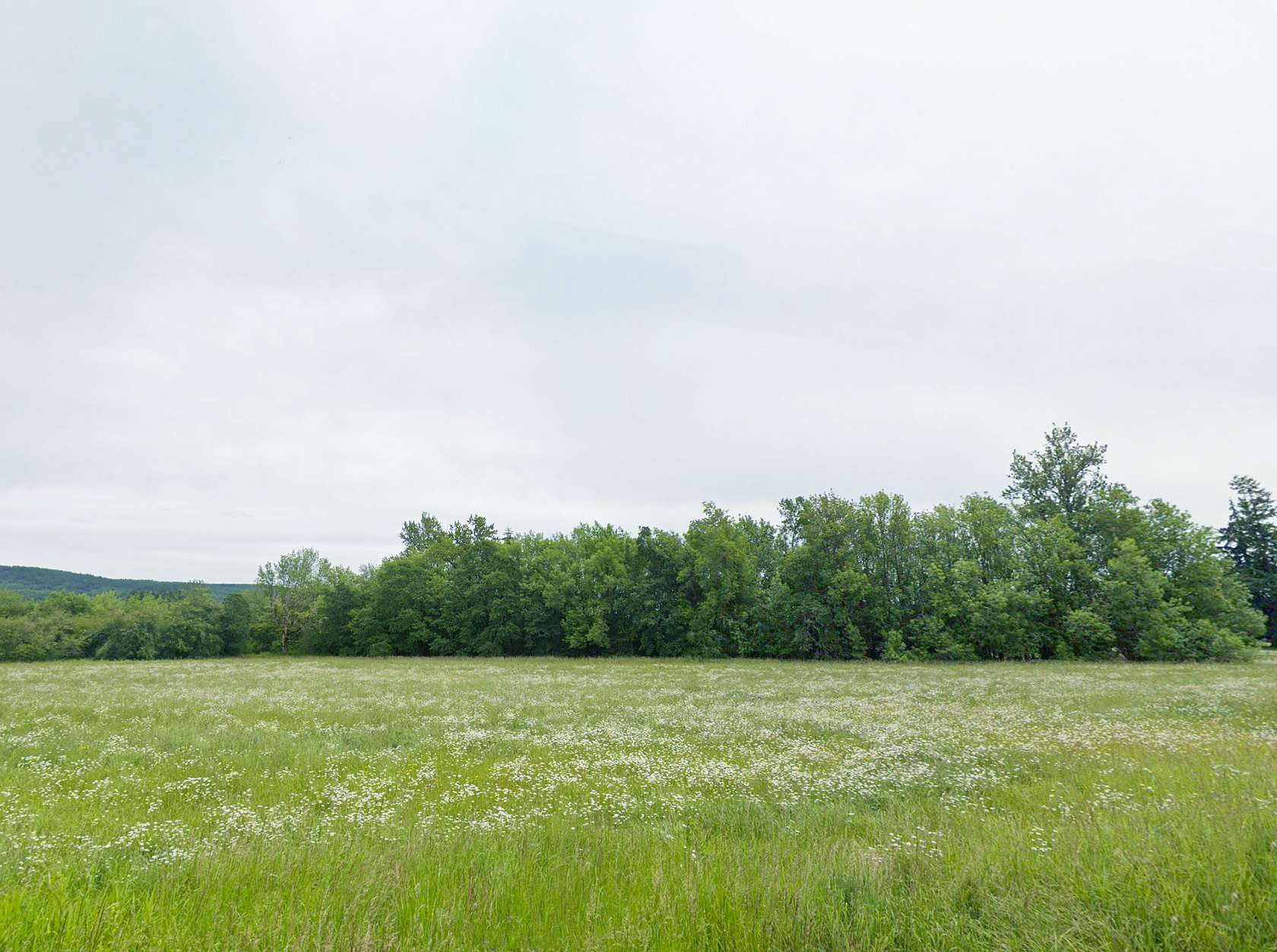 4 Acres of Residential Land for Sale in Chehalis, Washington