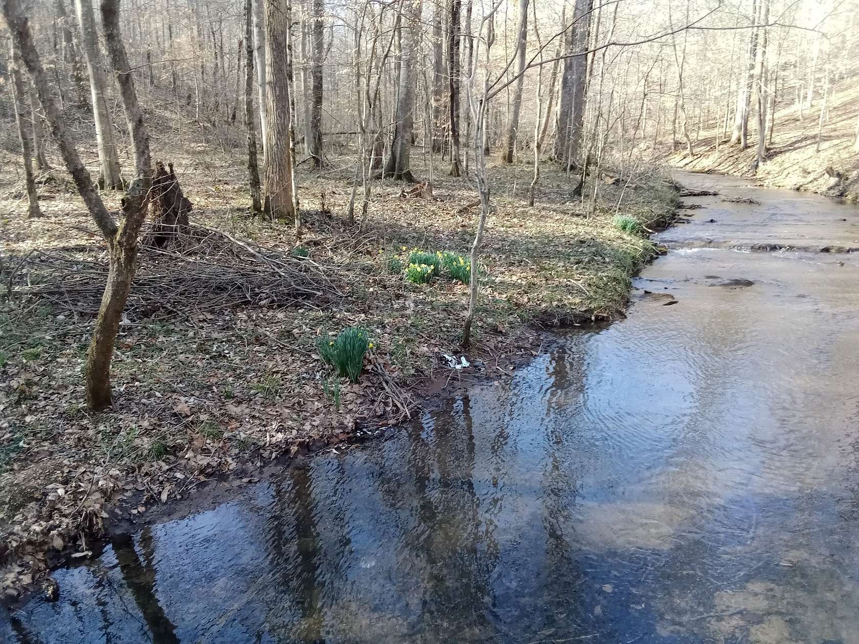 2.38 Acres of Residential Land with Home for Sale in Ashland City, Tennessee