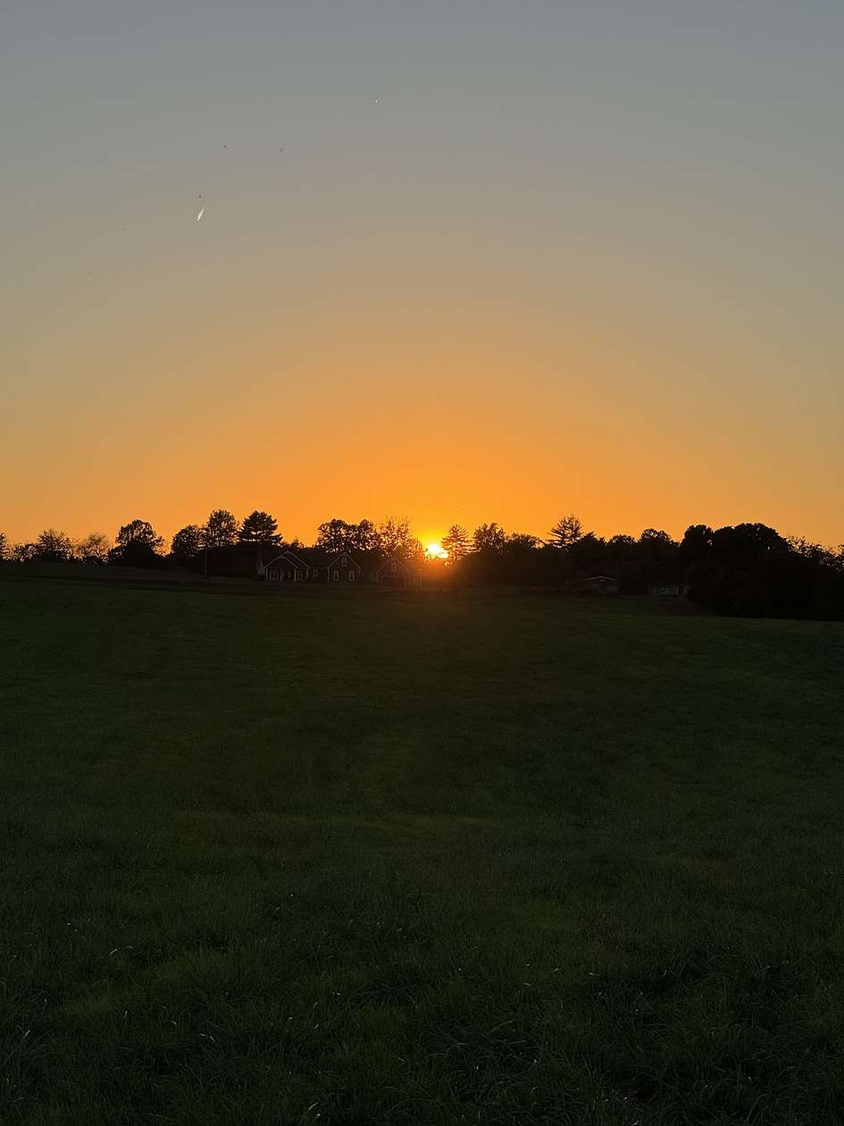 73.7 Acres of Agricultural Land for Sale in Woodburn, Kentucky